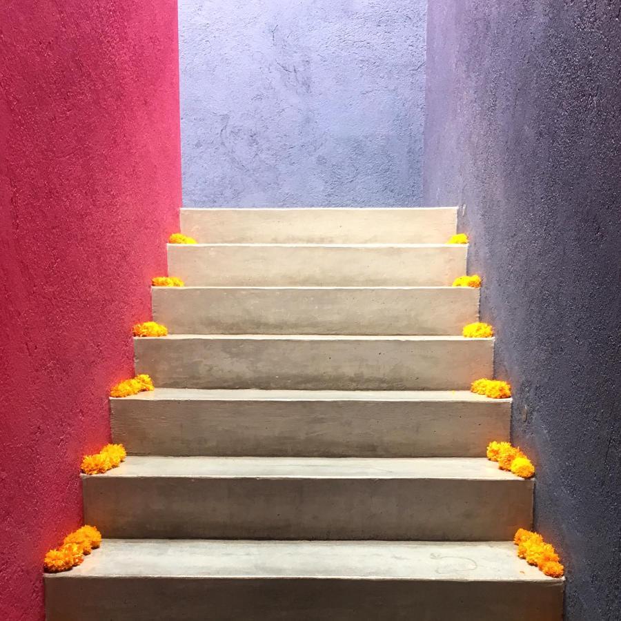 La Betulia Bed And Breakfast Oaxaca Εξωτερικό φωτογραφία